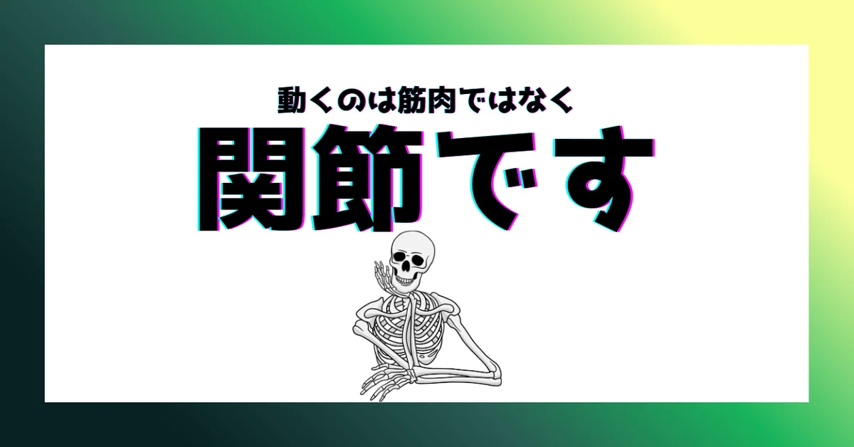 体がしなやかに動くのは、筋肉よりも「関節」のおかげ？