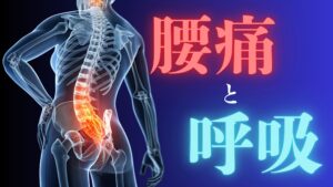 湘南台でマッサージに通っても「腰痛」が繰り返す理由。鍵は揉みほぐしではなく「呼吸の質」にある？