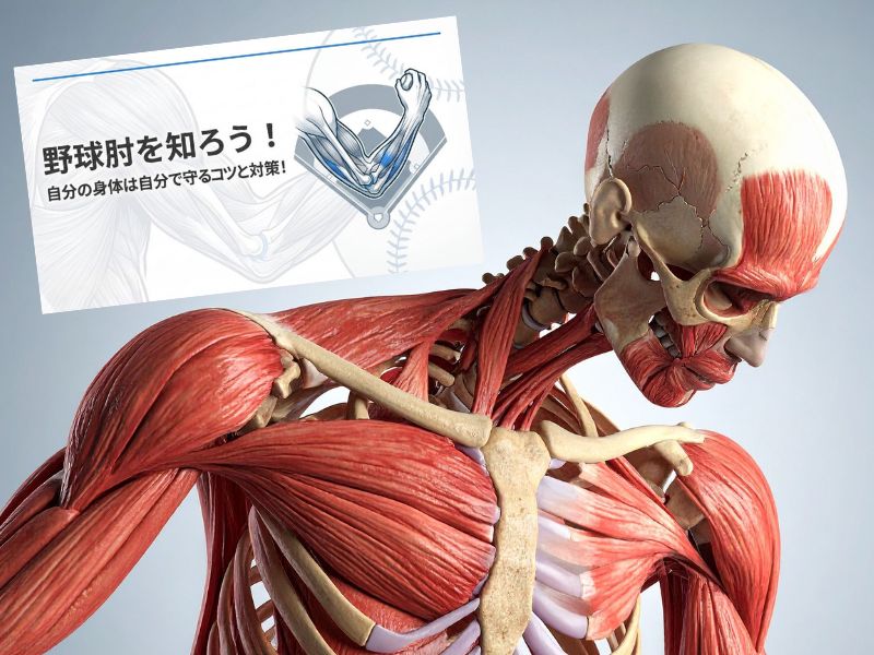 チーム講義風景