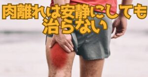 【湘南台 肉離れ】レントゲンには写らない損傷。「安静」だけでは繰り返す本当の理由と、エコー観察が導く早期復帰